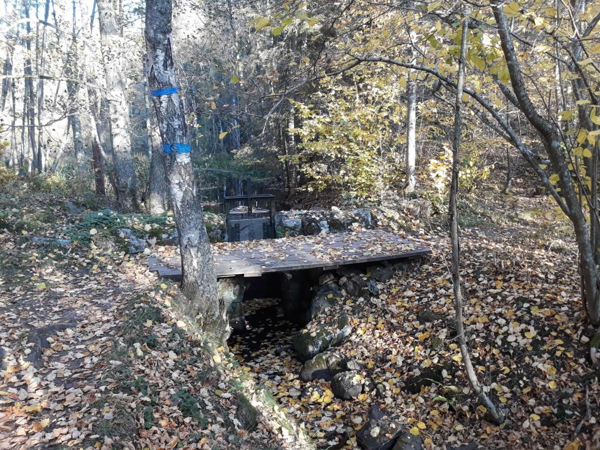 Tiny House In The Middle Of Nature Villa Akersberga Bagian luar foto